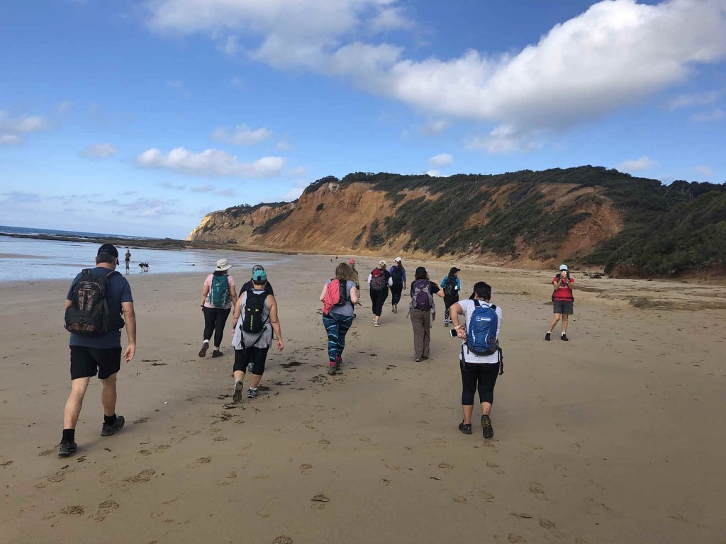 Point Addis DayHike Beack1
