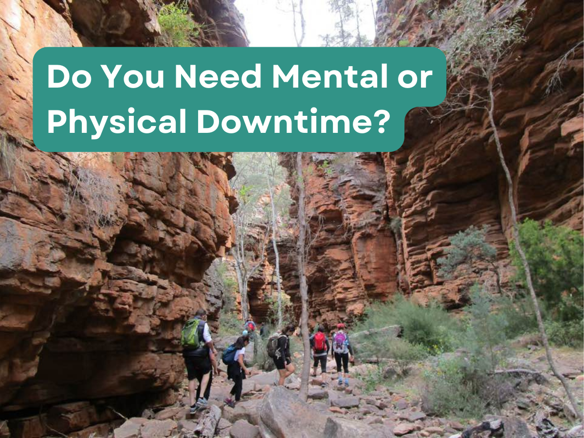 Do You Need Mental or Physical Downtime?