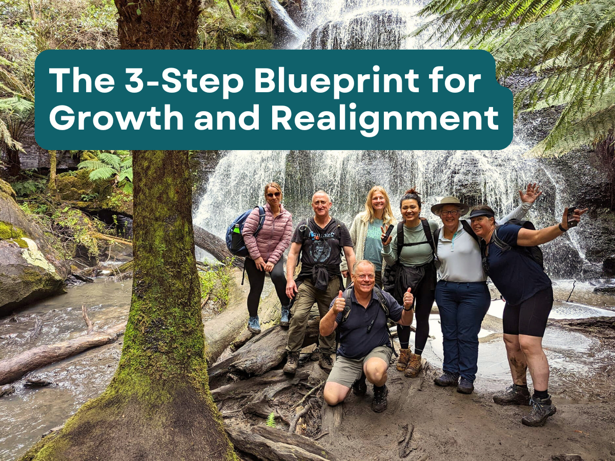 The 3-Step Blueprint for Growth and Realignment
