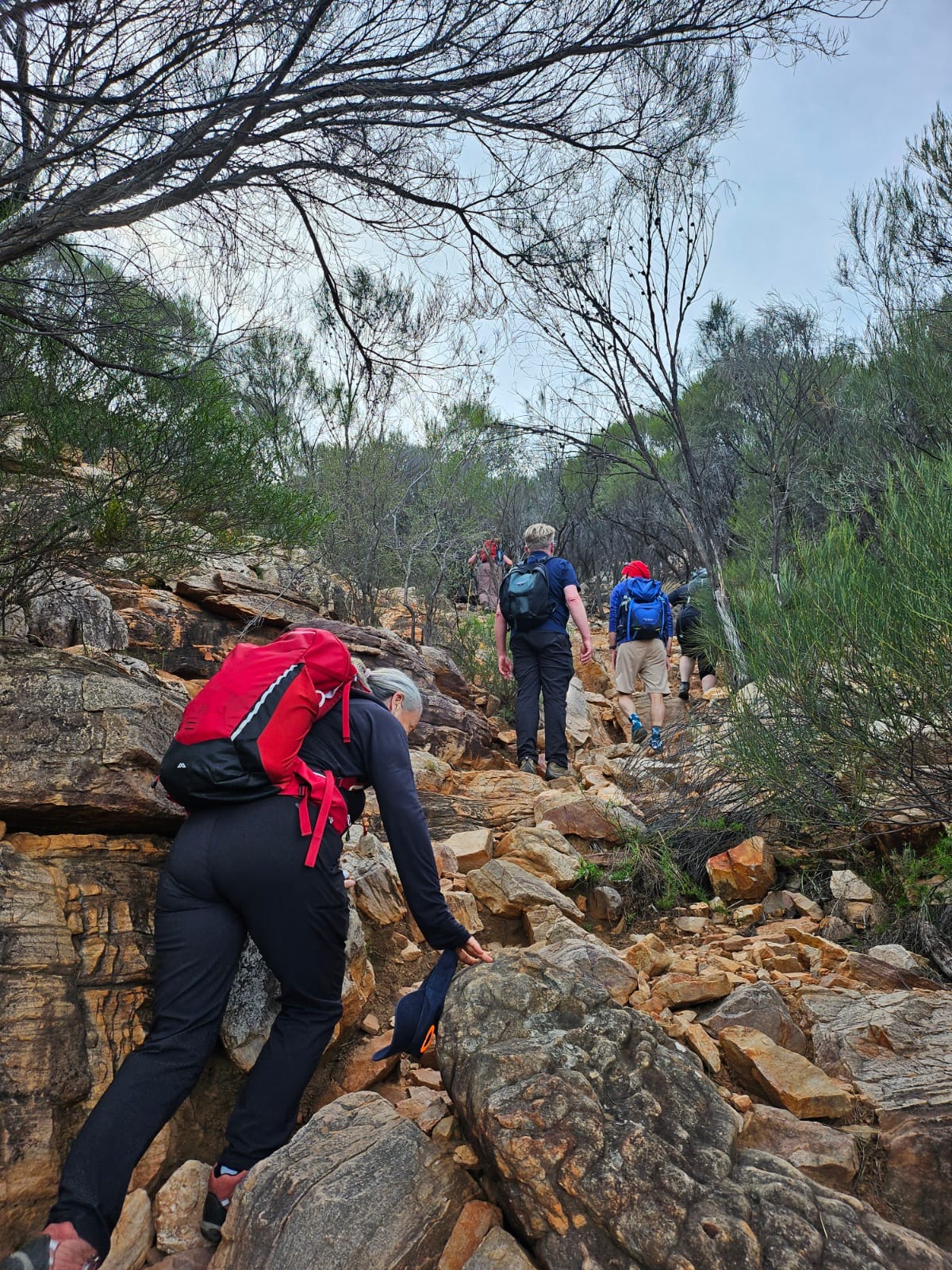 flindersranges 02082024 37